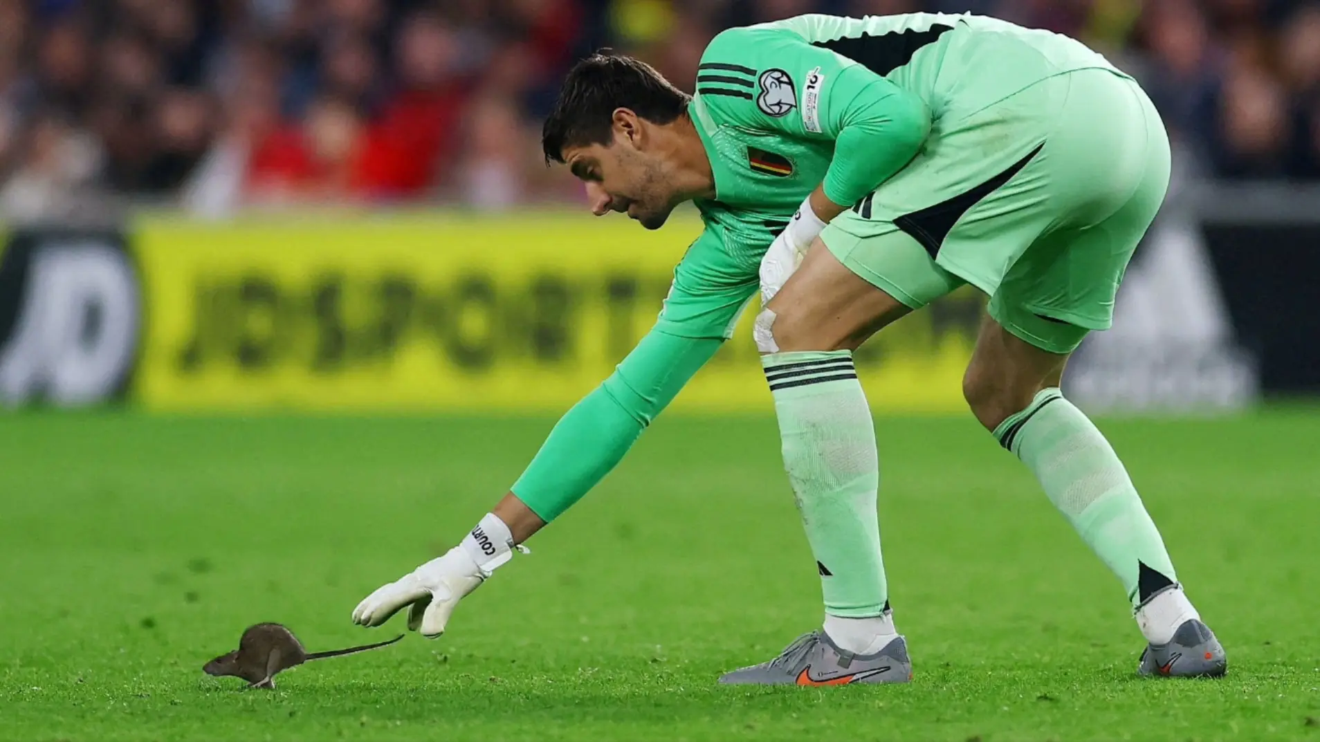 Vị khách không mời ở trận đấu giữa Xứ Wales và Bỉ